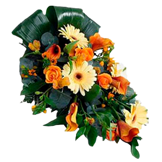 Sunset of Life Flora Queen