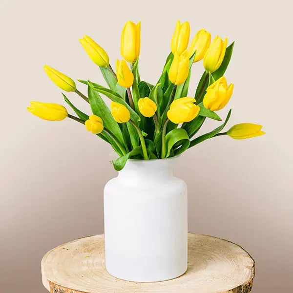 Giallo Sole Tulipani