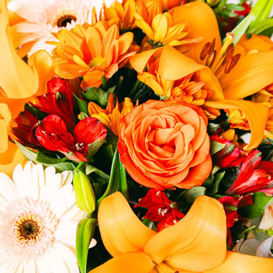 Peach Flavour Flora Queen