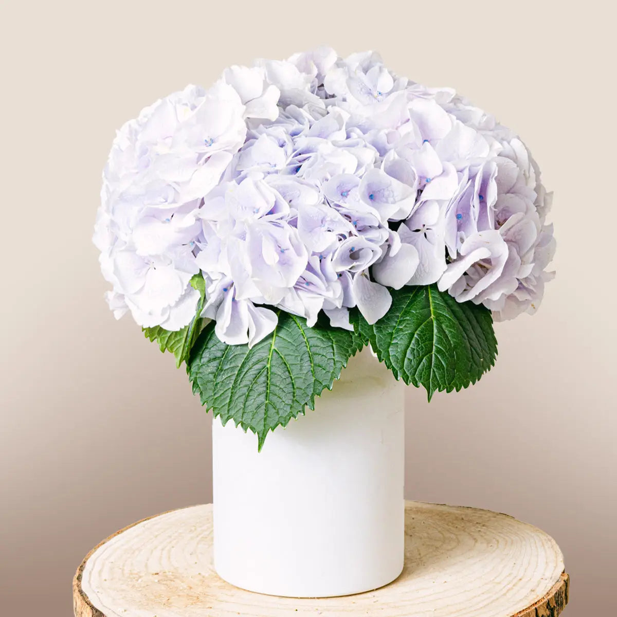 Night Sea: Ortensie e Alstroemeria