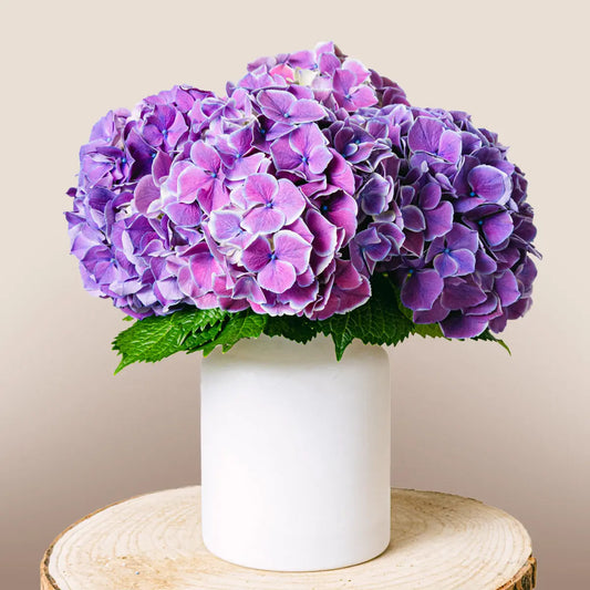 Magic Garden Flora Queen Flora Queen