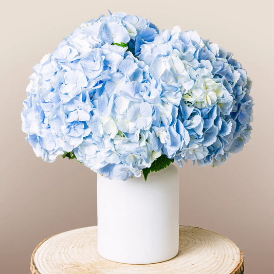 Soulful Eyes Flora Queen Flora Queen