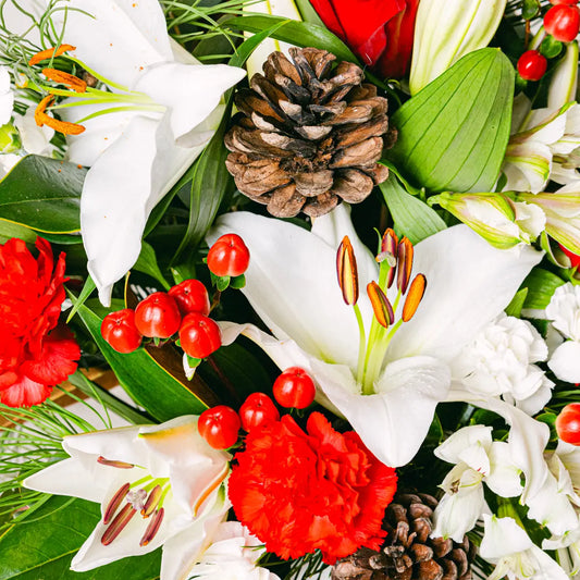 Festive Splendour Flora Queen Flora Queen