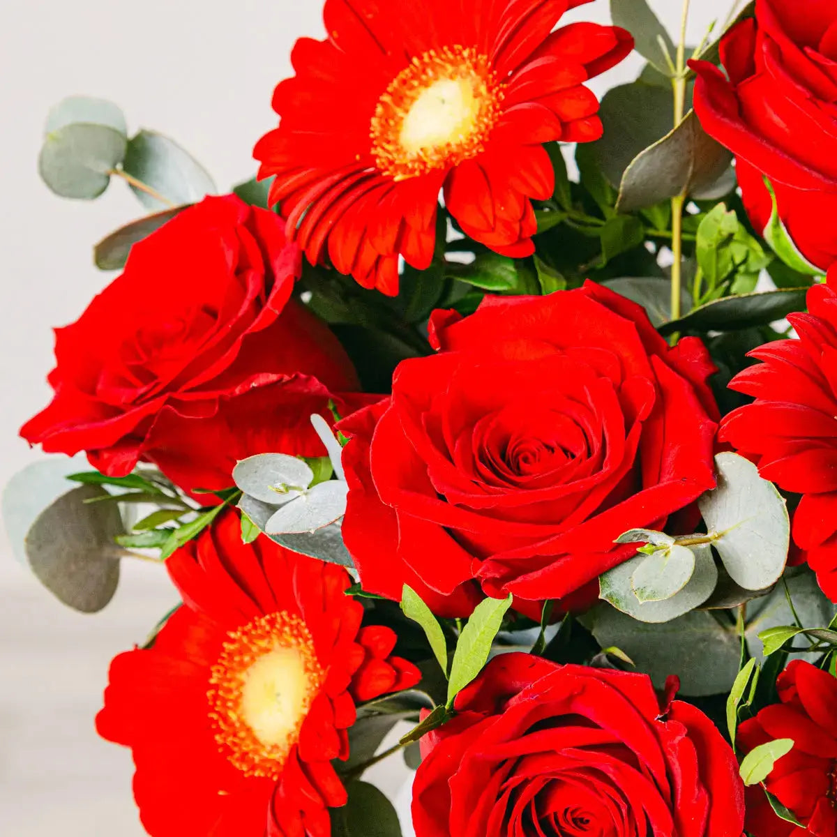 Desiderio Eterno - Rose e Gerbere