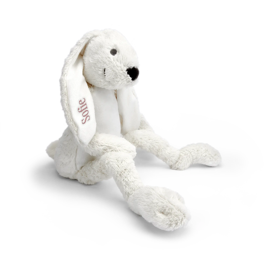 d8243d2b61e47a16ae1c698978ccd574