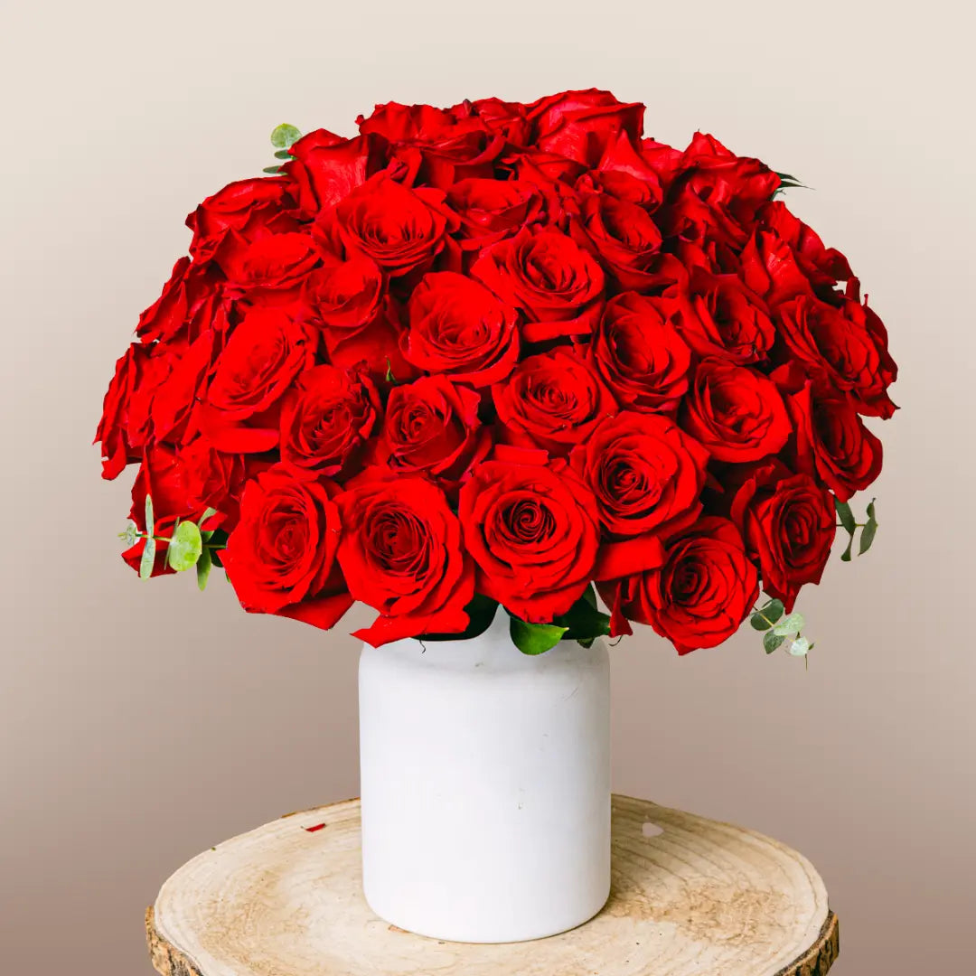 Rose rosse premium