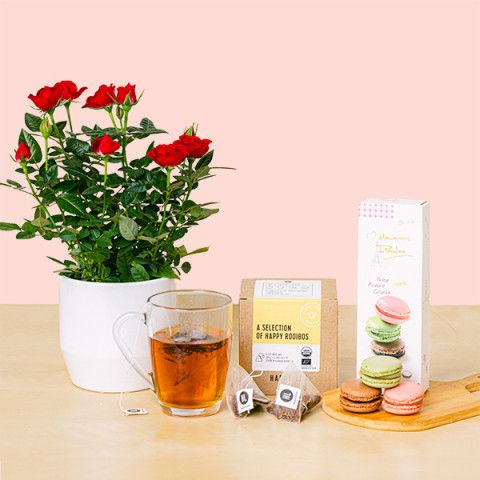 Darling Love: tè, macarons e cespugli di rose