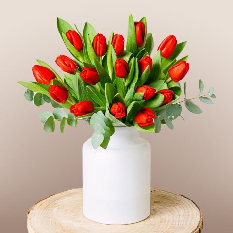 Scarlet Splendor: Tulipani Rossi