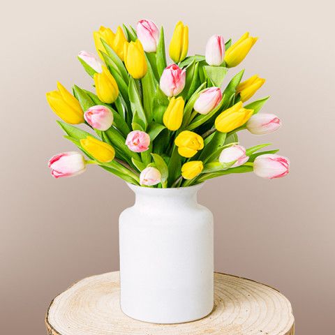 Bright Side: Tulipani Rosa e Gialli