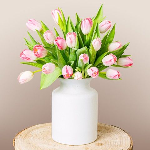 Product photo for Spring Vibes: Tulipani Rosa
