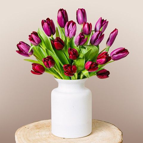 Blushing Love: Tulipani viola