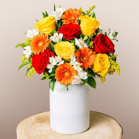 Floral Energy: : Mix de Fleurs Orange
