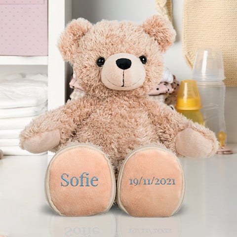 Dear Teddy: Orsetto di Peluche Personalizzato
