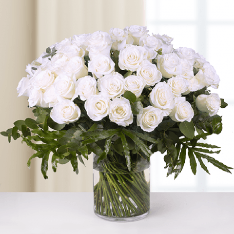 Classic Love: Rose Bianche
