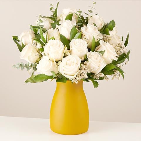 Roses's Elegance: Rose Bianche