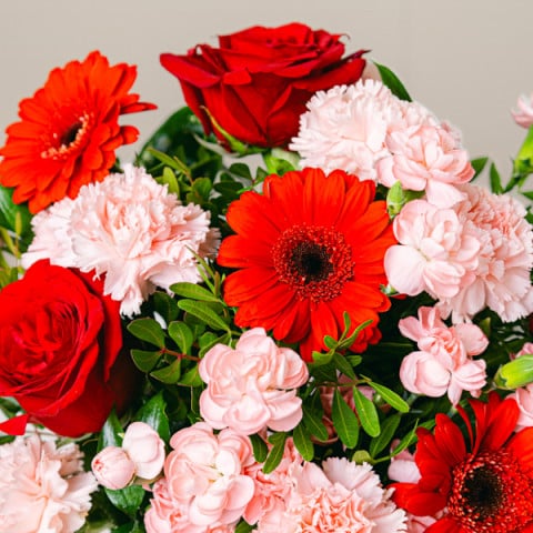 Amore dell'anima: Rose e Gerbere highlight