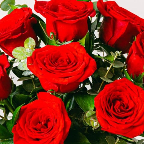 Fioriture Vibranti: Rose Rosse highlight