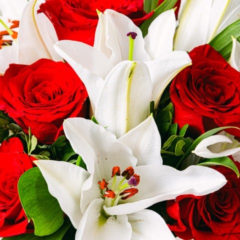 Nota d'amore: Rose rosse e gigli bianchi highlight