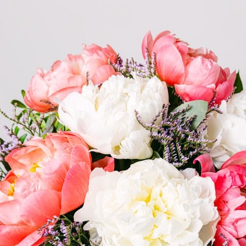 Coral Hug: Peonie Rosa e Bianche highlight