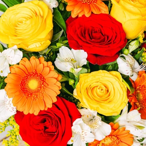Floral Energy: Mix di Fiori Arancioni highlight