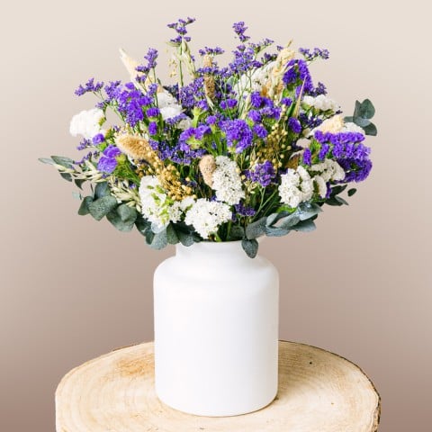 Boreal: Statice e Limonium