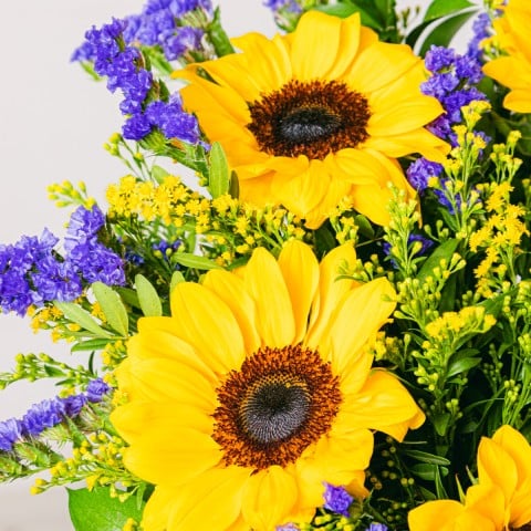 Spinta dal sole: girasoli e statice highlight