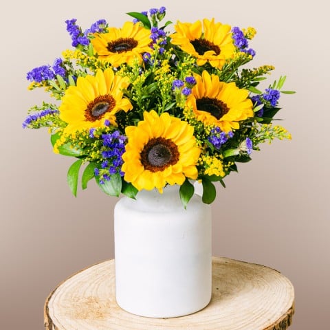 Spinta dal sole: girasoli e statice