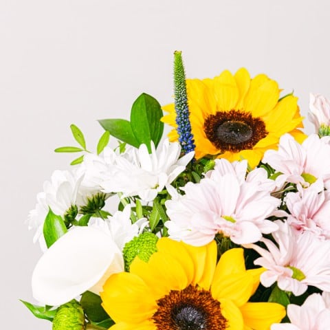 Sunny Lily: Girasoli e Calle highlight