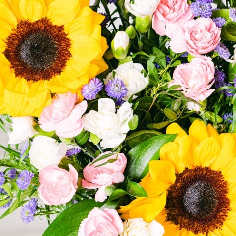 Vibrant Sunset: Girasoli e Limonio highlight