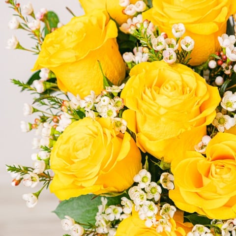 My Sunshine: Rose Gialle highlight