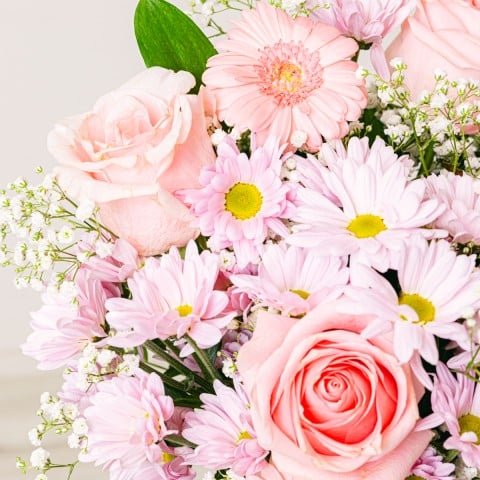 Vestita di Rosa: Rose e Gerbere highlight
