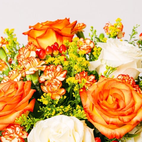 Rose Blooming: Rose e Garofani highlight