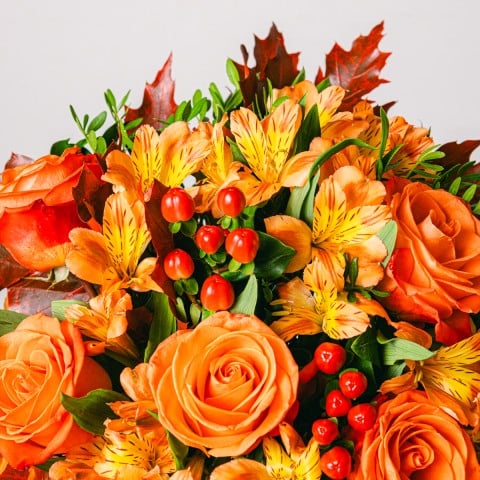 Pumpkin Spice: Rose e Alstroemerie highlight