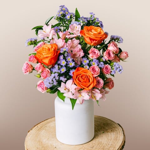 Extra Smiles: Rose e Aster