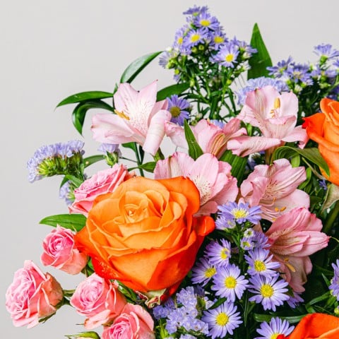 Extra Smiles: Rose e Aster highlight