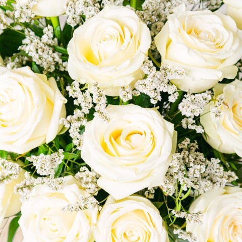 Classy Touch: Rose Bianche highlight