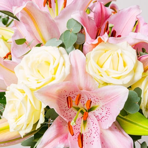 Candy: Gigli e Rose highlight
