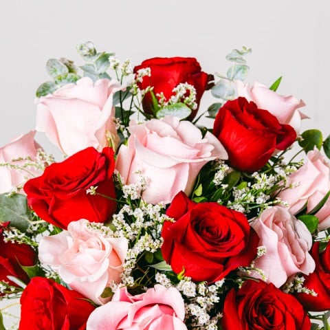 Dolce Amore: Rose Rosse e Rosa highlight