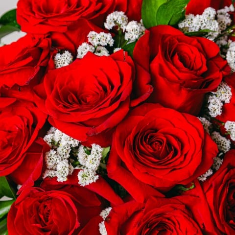 Amore Classico: 12 Rose Rosse highlight