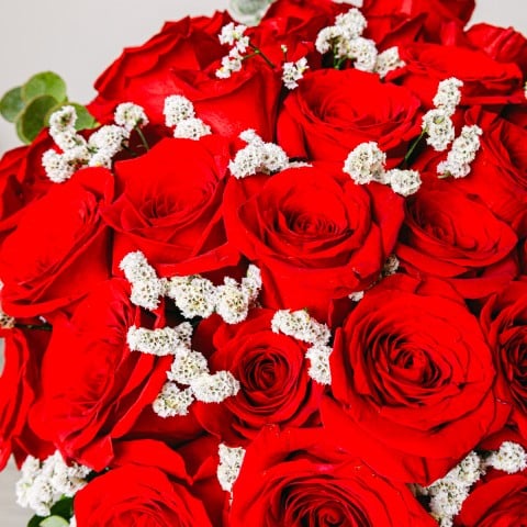 Passione Infinita: 30 Rose Rosse highlight