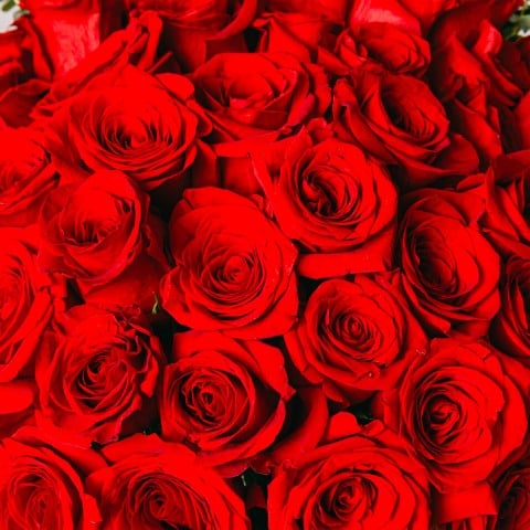 Amore Eterno: 40 Rose Rosse highlight