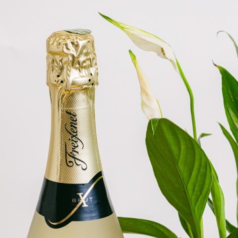 Capriccio Pacifico: Giglio della Pace & Cava highlight