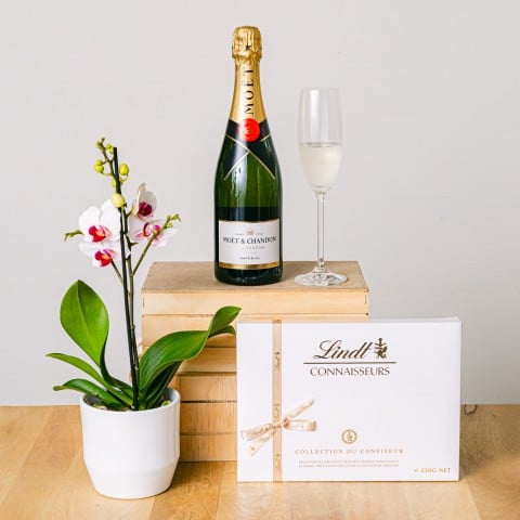 Meraviglia Dolce: Selezione di Orchidea e Praliné