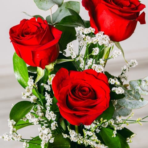Promemoria Romantico: Rose Rosse highlight