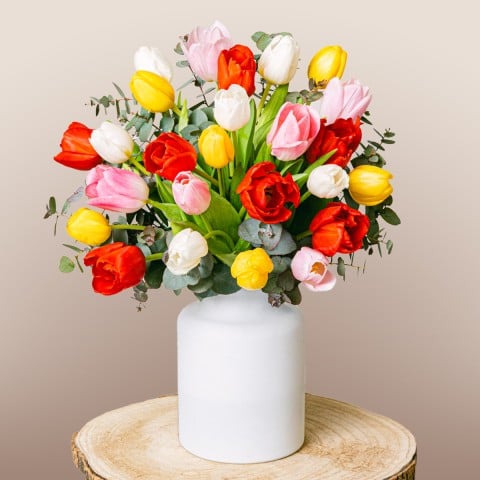 Arcobaleno: Tulipani Multicolore