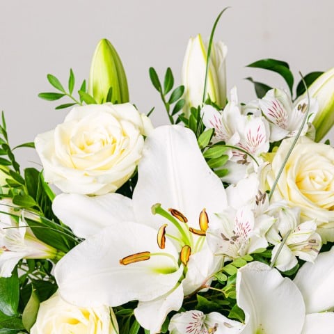 Aurora Shine: Bouquet di fiori, vaso e biglietto di auguri highlight