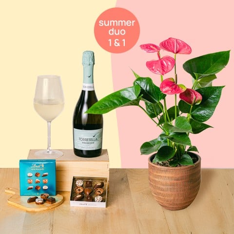 Doppia Sorpresa: Anthurium e Vino Frizzante