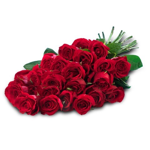 Quali sono i fiori da inviare a San Valentino?