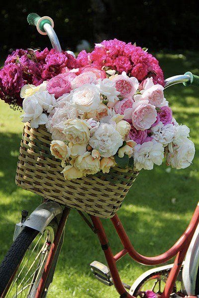 bici con flores