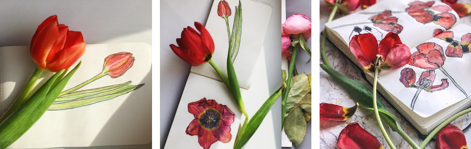 fiori e arte anna potaeva tulipani